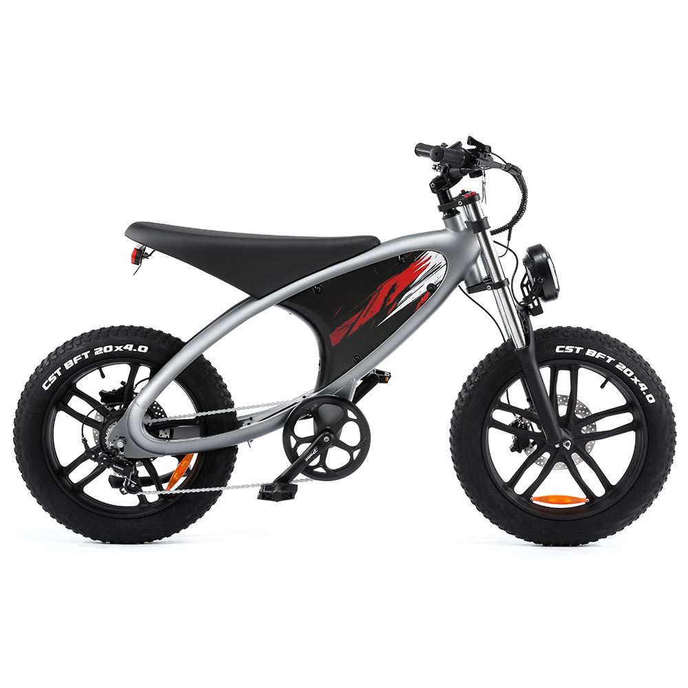 HX Q6 Moped-Style Fat Tire Electric Bike