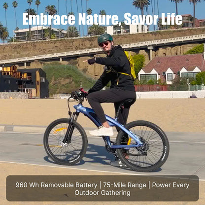 HXeBike Shark Mako🦈 27.5×2.25" E-MTB