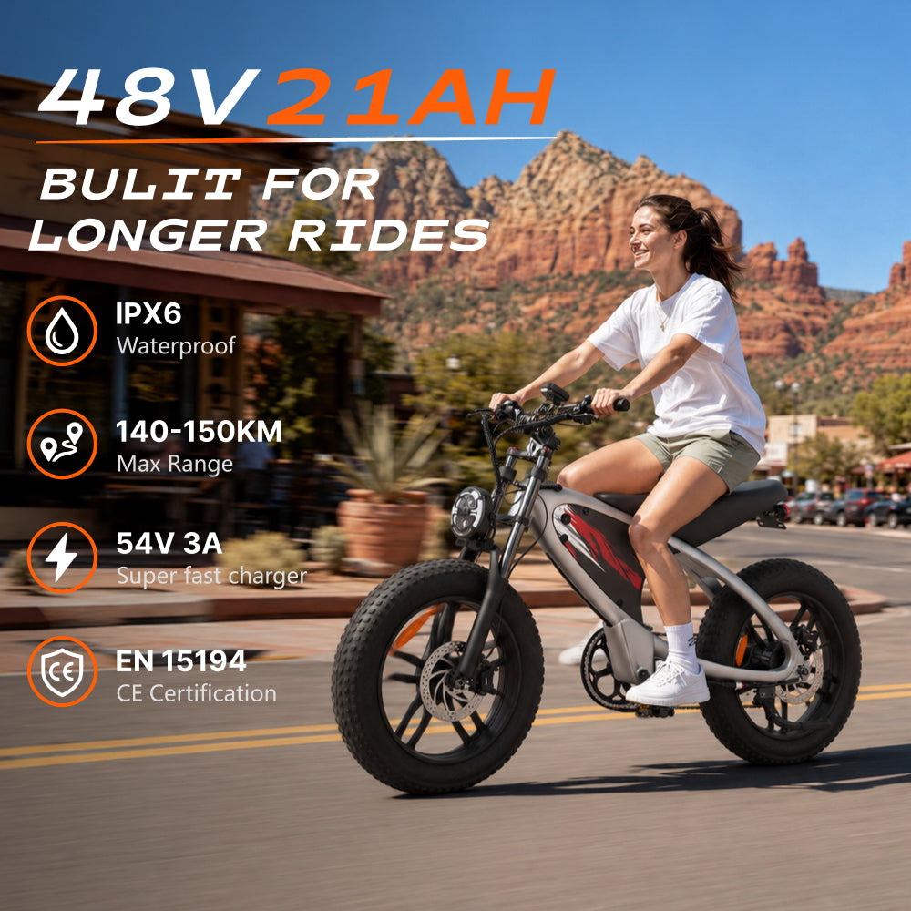HX Q6 Moped-Style Fat Tire Electric Bike