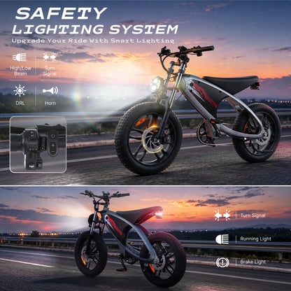 HX Q6 Moped-Style Fat Tire Electric Bike